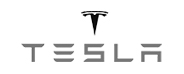 tesla icon