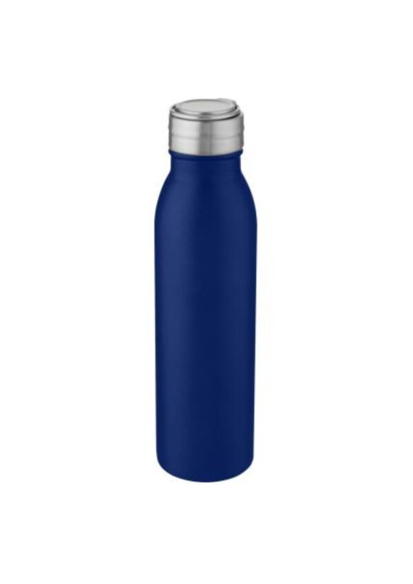 Harper 700 ml stainless steel water bottle with metal loop - Mid blue